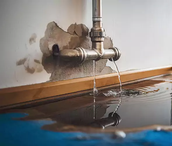 Professional Water Damage Restoration Experts in New Castle, PA — Fast, Reliable & Certified