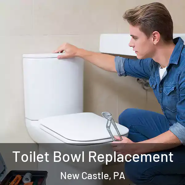  Toilet Bowl Replacement New Castle, PA