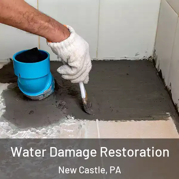  Water Damage Restoration New Castle, PA