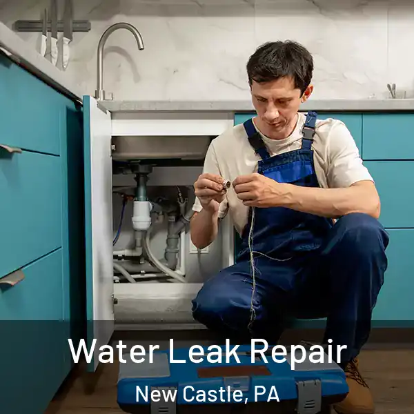  Water Leak Repair New Castle, PA